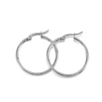 Set RVS Oorringen Zilver 25